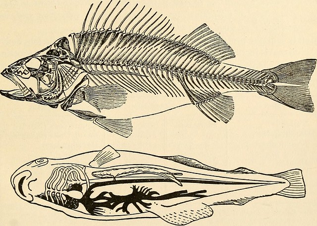 14587159508_47dd79847b_z