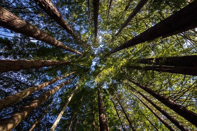 36292697972_d49e3f59e2_z